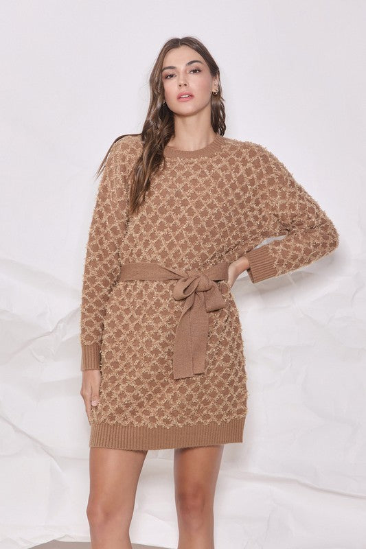 Novelty Belted Sweater Dress