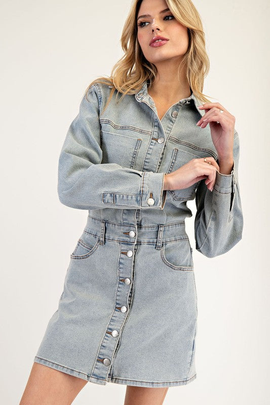 Winters In Nash Denim Dress