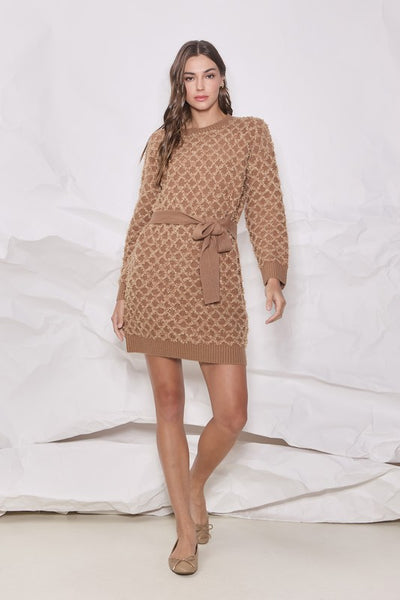 Novelty Belted Sweater Dress