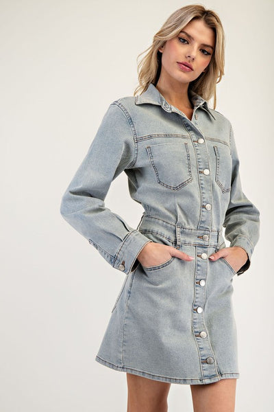 Winters In Nash Denim Dress