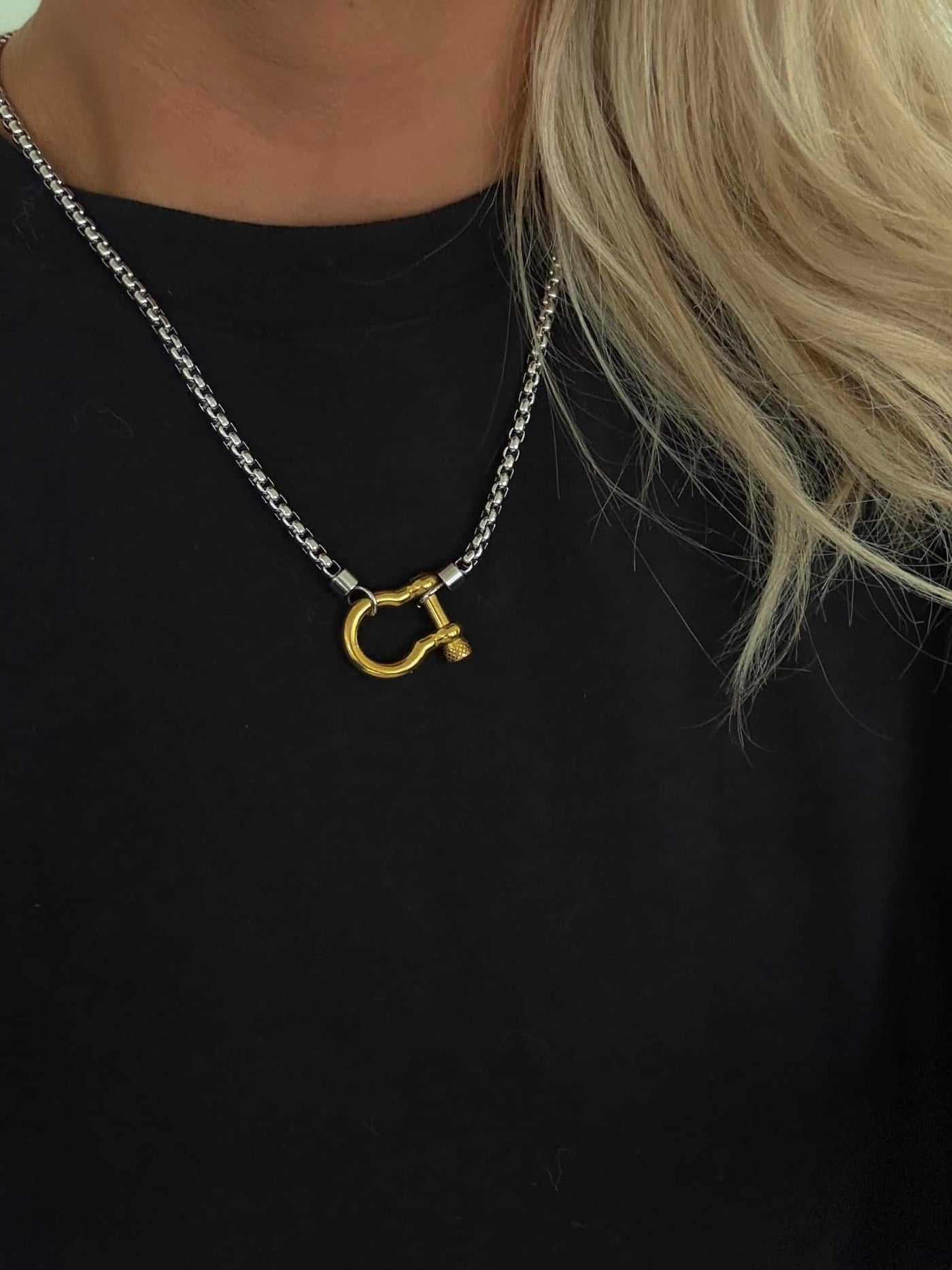 Horseshoe Locket Necklace