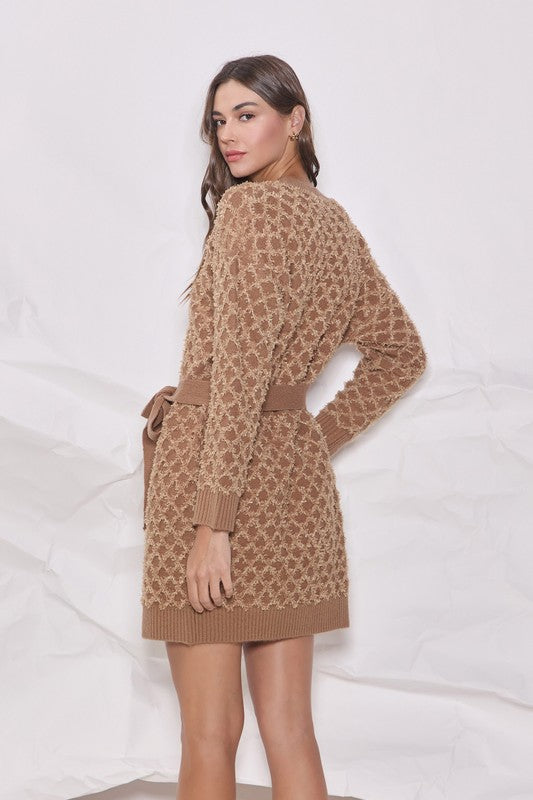 Novelty Belted Sweater Dress