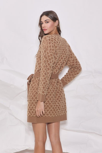 Novelty Belted Sweater Dress