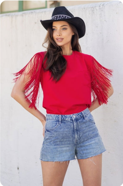 Fringe Sleeve Knit Top (2 Colors)