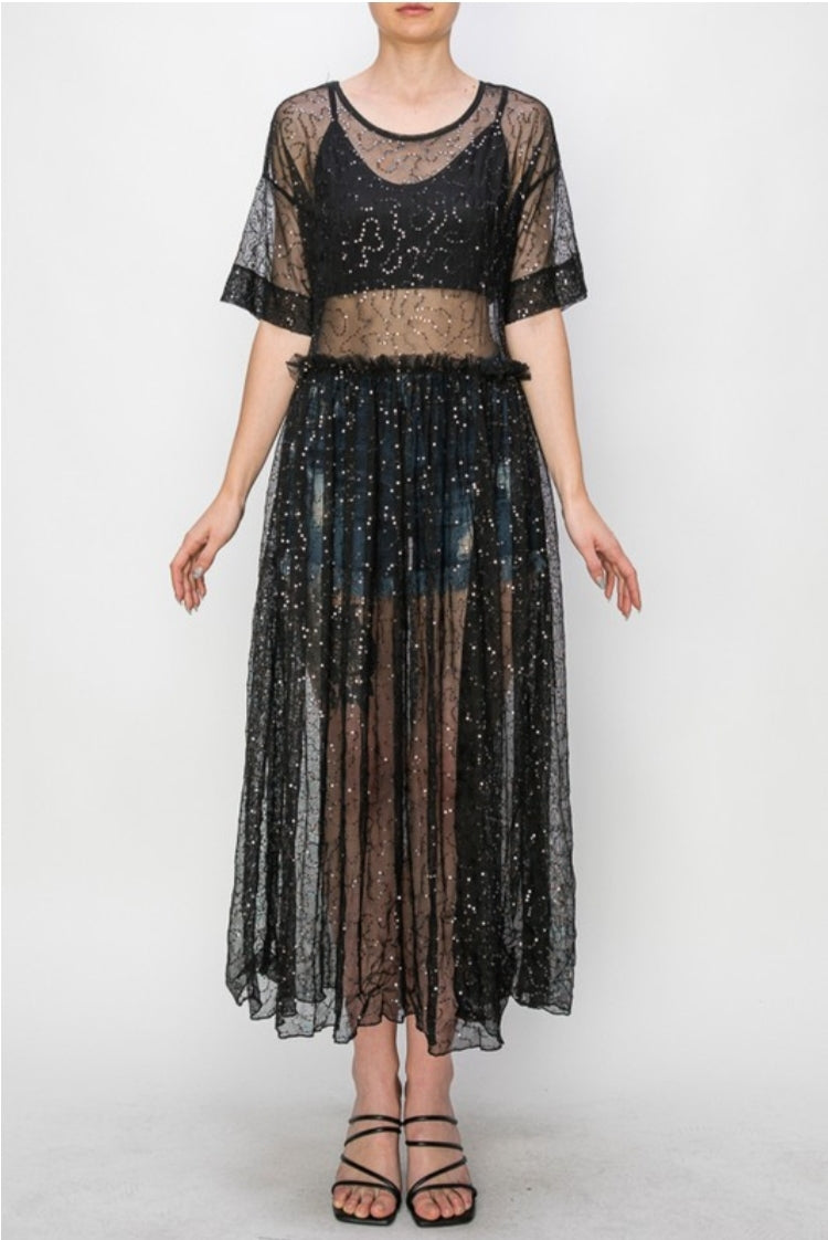 Black Sheer Sequin/Mesh Dress