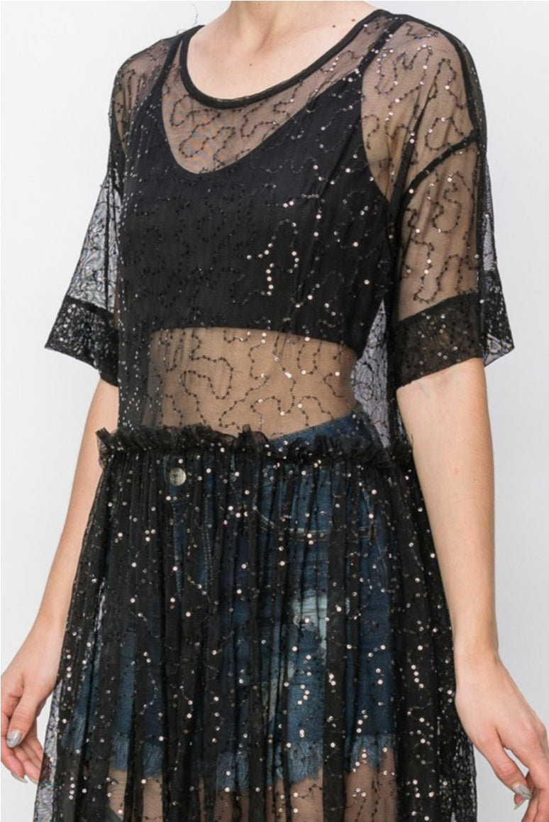 Black Sheer Sequin/Mesh Dress