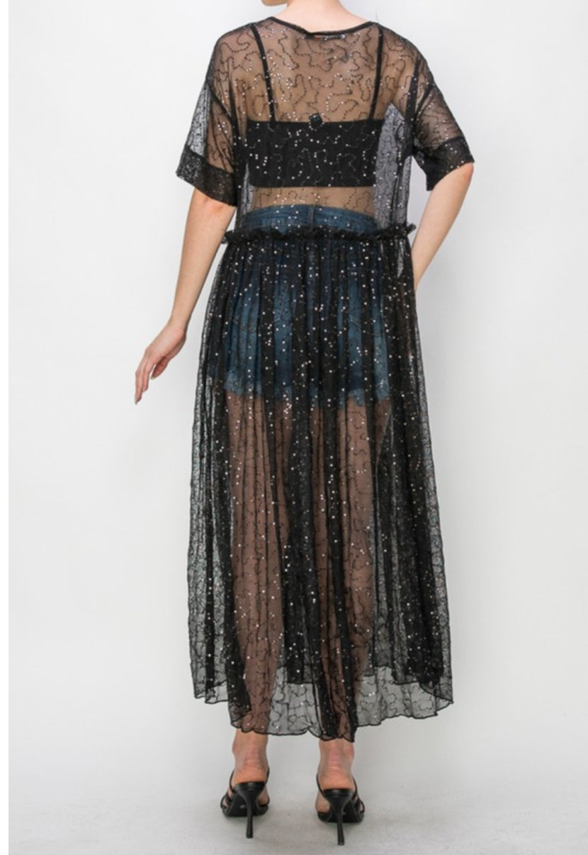 Black Sheer Sequin/Mesh Dress